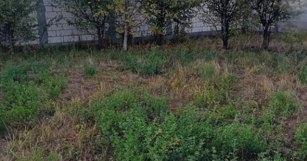 Teren autorizat pentru constructie 490mp