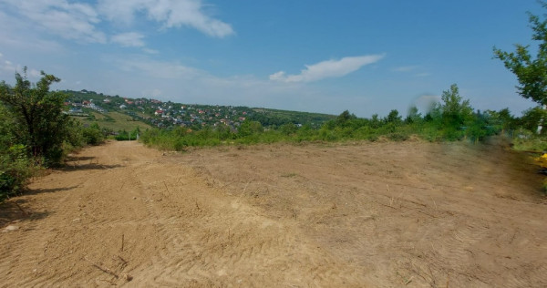 Teren intravilan , Bucium Barnova