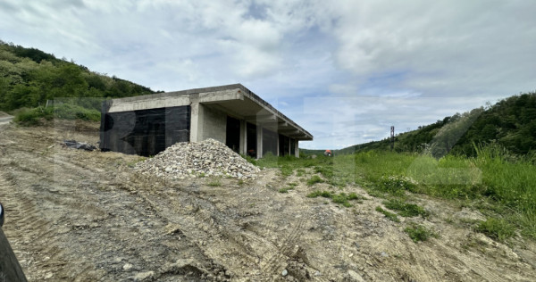 Casa la gri 159 mp, teren 16.418 mp, zona Dumbrăvița-Huned