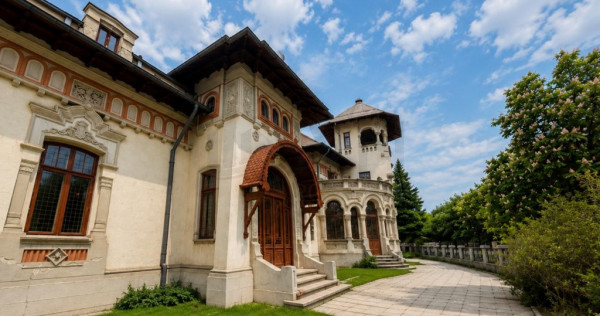 Vila Monument Istoric Arhitectura Unica