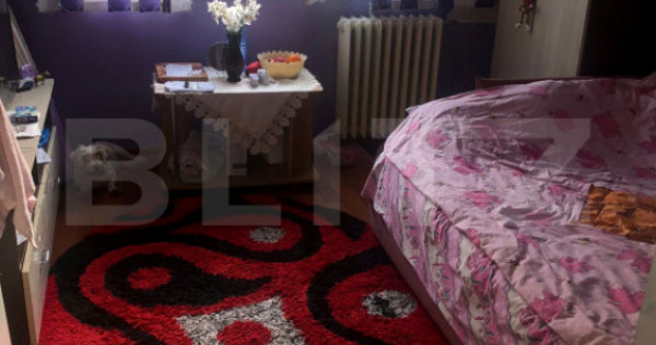 Camera de camin, 17 mp, zona Nicolina
