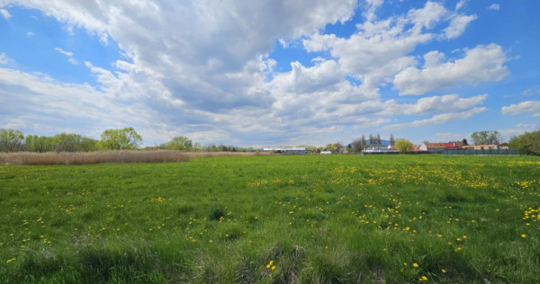 BRASOV - BARTOLOMEU TEREN CONSTRUCTII TOATE UTILITATILE