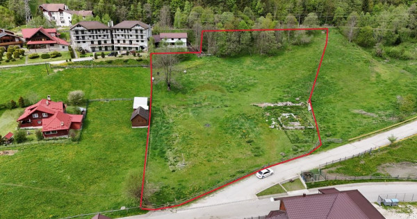 Intravilan | 10.000 mp| Sătic-Rucăr | Acces facil | Pot...