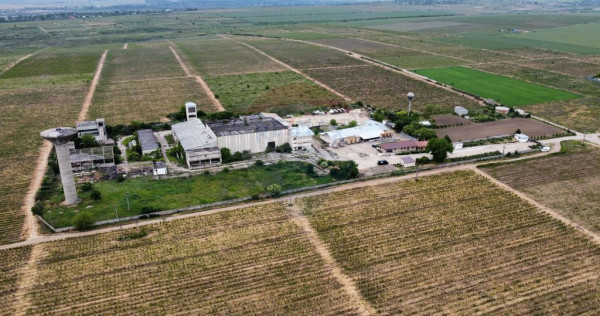 Spațiu industrial vinificatie Dobrinesti