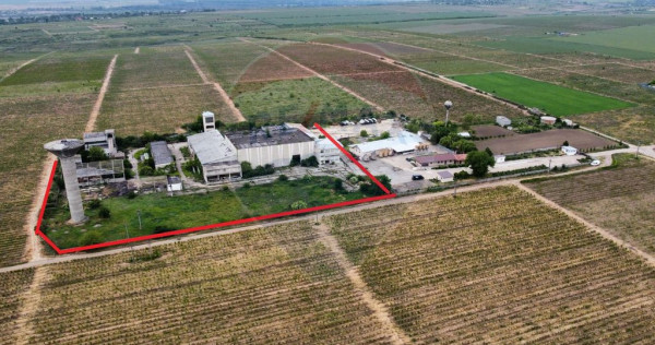 Spațiu industrial vinificatie Dobrinesti