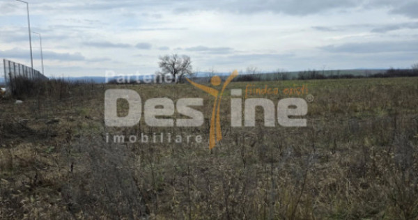 Teren intravilan 4028 mp, str Dimitrie Cantemir, Vaslui