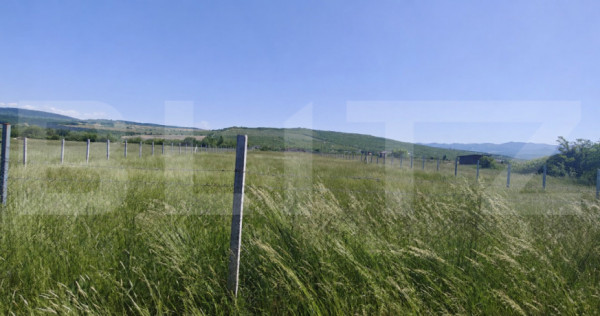 Teren intravilan de v&acirc;nzare, 2650 mp, zona Valea Jelnei