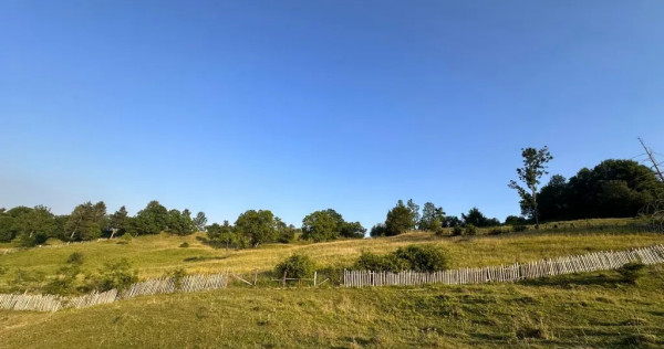 Teren spectaculos Talea, Prahova, 13000mp