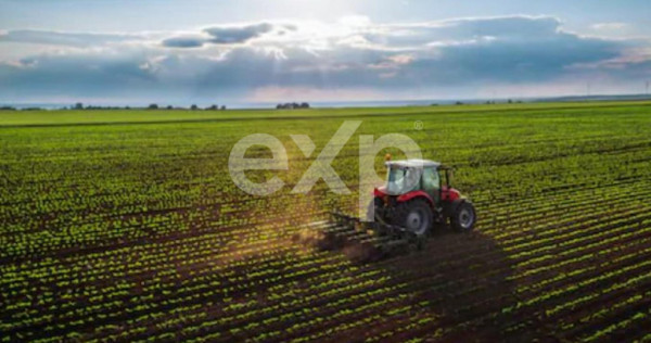 Teren agricol extravilan de v&acirc;nzare &ndash; 22.960 mp &ndash; Măre