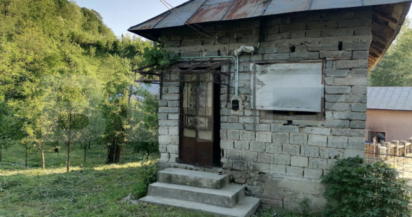 Casă la rRșu cu Livadă, Teren 1000 mp. Gemenea Brătule?