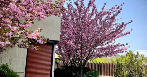 Vila Duplex 5 Camere Sisesti