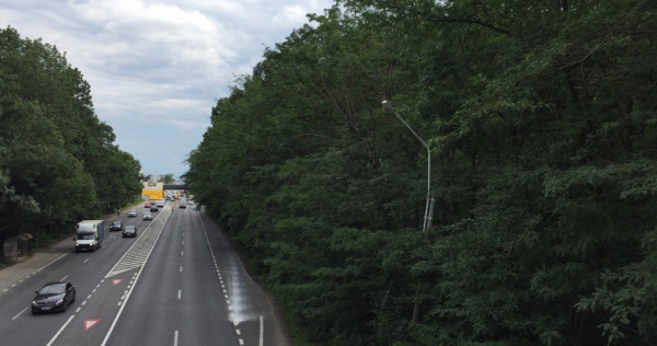 Teren DN1 - Padurea Petresti
