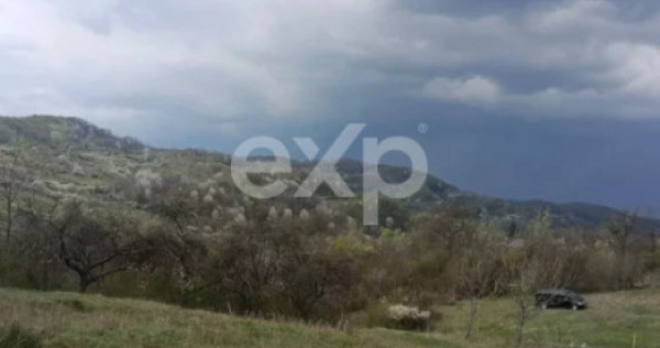 Teren extravilan de v&acirc;nzare Tigveni | 4.944 mp | Panoramă