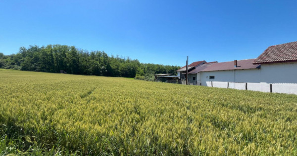 Teren intravilan cu vedere la pădure, 2.533 mp, Melinești,