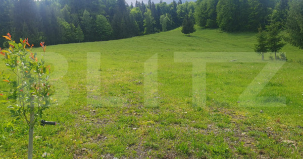 Teren 30.000 mp ( din care 3000 mp intravilan) in Dorna Cand