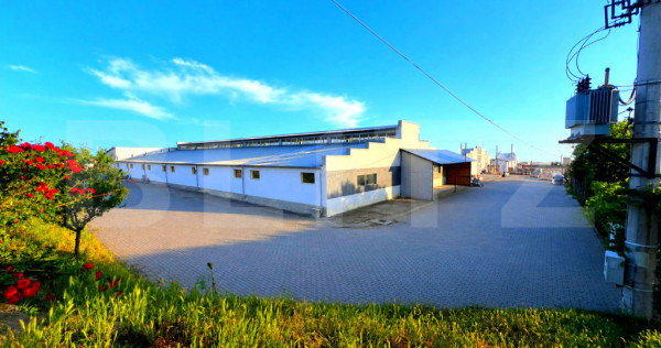 Hale Industriale 3.850 mp Utili + Teren 11.400 mp | Blaj
