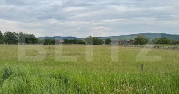 Doua parcele a cate 1100 mp de teren intravilan &icirc;n Livezile