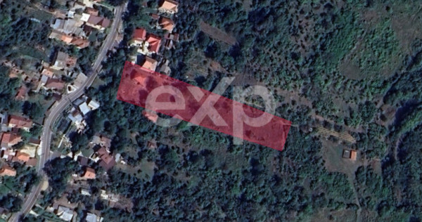 Teren cu Potențial Excepțional | 4.300 mp | Zonă Exclusiv