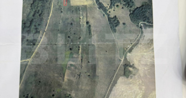 Teren extravilan de vanzare, 5512 mp, in Bejan Tarnavita