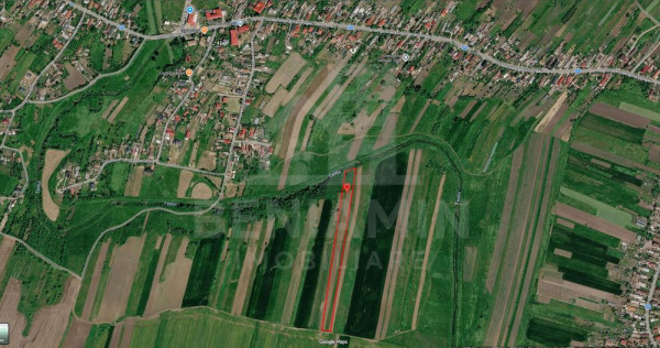 Lot teren 5300mp - Pielesti