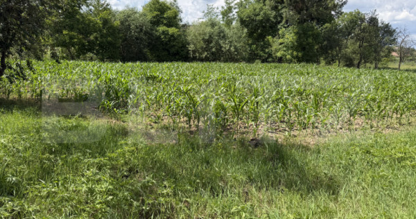 Teren intravilan de vanzare, 3656 mp - Aghires