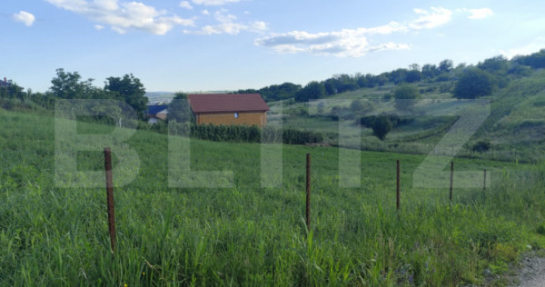 Teren 1529 mp Valea Lupului, pozitie deosebita