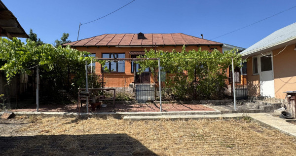 Casa traditionala + ANEXA locuibila, T=1153 mp, D = 27m, Satul nou