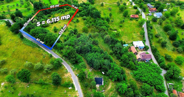 Teren intravilan 6115mp | Danesti, Maramures | Oportunita...