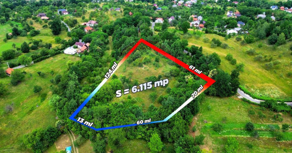Teren intravilan 6115mp | Danesti, Maramures | Oportunita...