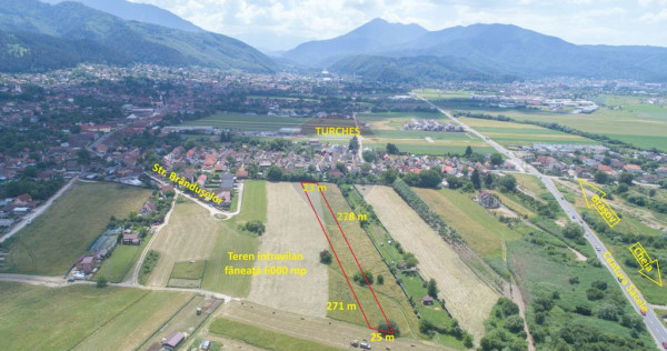 Teren intravilan, 6000 mp, Turcheş - Săcele