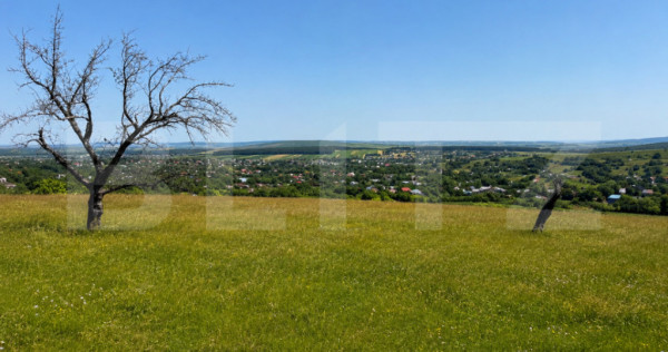 Teren de vanzare in Adancata, 4500 mp