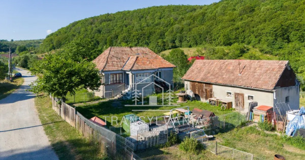 Casă 76mp cu teren de 3.463mp, sat. Vale, com. Aluniș