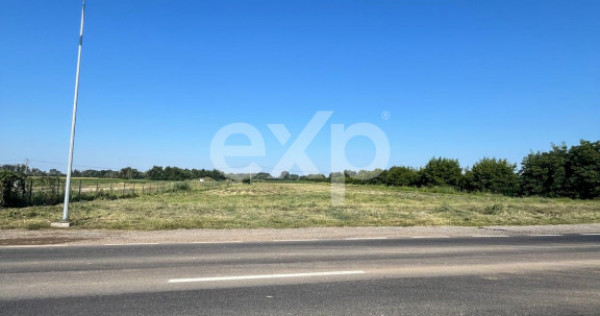 Teren intravilan premium 15.000 mp la DN61 l&acirc;ngă Centura G