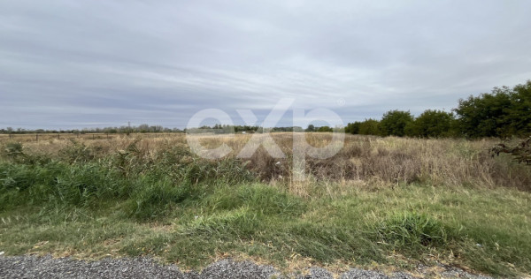 Teren intravilan premium 15.000 mp la DN61 l&acirc;ngă Centura G