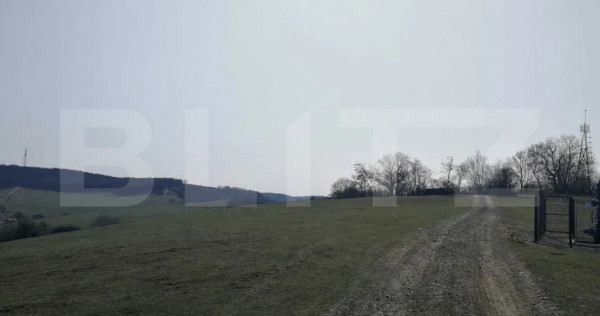 Teren intravilan, 15.904 mp, zona Dambu