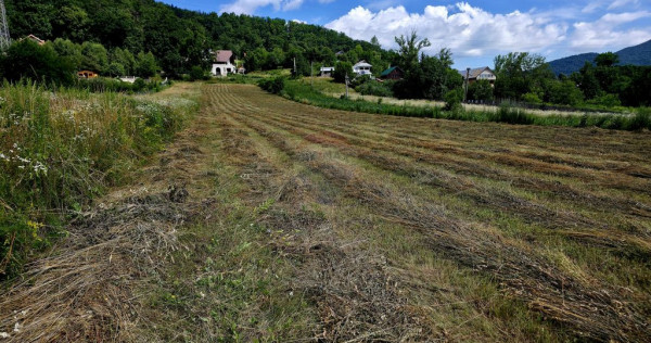Teren 600mp Viisoara / Strada Primaverii