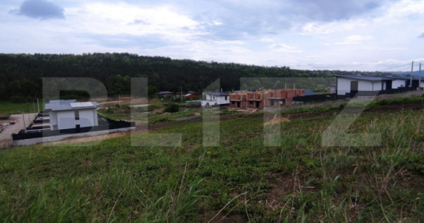Teren de v&acirc;nzare &icirc;n Valea Lupului &ndash; Strada Lacului | 2 p
