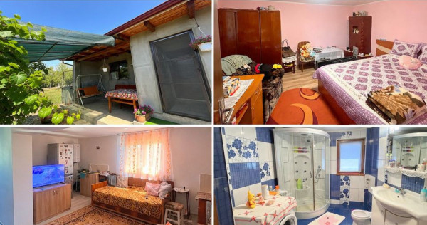 Casă individuală de v&acirc;nzare &icirc;n Braniștea - Teren 464...