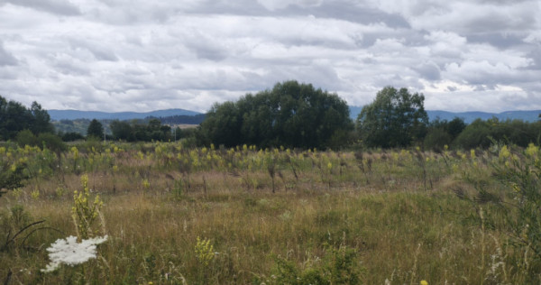 Teren intravilan 4594 mp, deschidere 66 ml, Galanesti, Radau