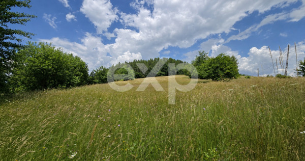 PANORAMA POIANA MĂRULUI | Teren cu potențial de dezvoltare