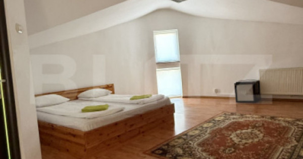 Spațiu de &icirc;nchiriat &ndash; Camere - Spatiu de birouri - Clini