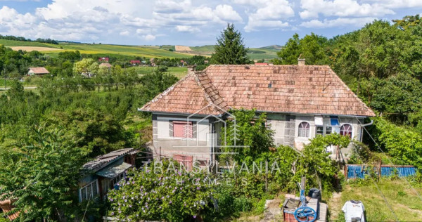 Casă tradițională cu teren de 2.560mp, &icirc;n S&acirc;mboleni, com. Cămărașu
