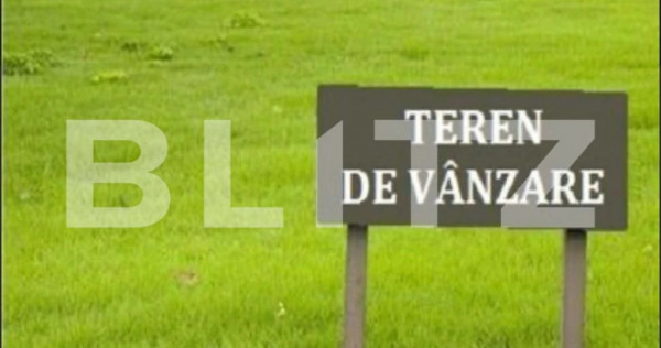 Teren intravilan de vanzare, 29 ari, Ilisesti