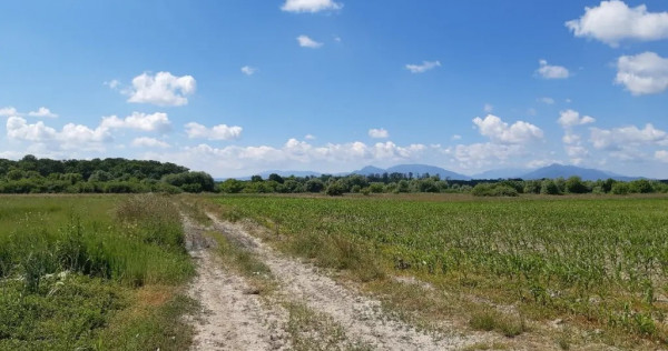 Teren agricol Podu Oltului la limita UAT Harman si UAT Prejmer 20300mp