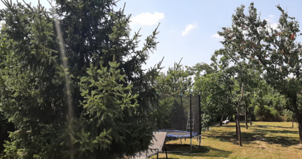 Casa individuala de vanzare in Timisoara, cartier Freidorf