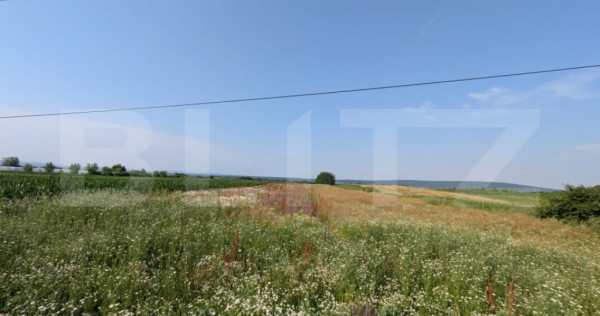 Teren de vanzare, 3.000 mp, utilități și acces asfaltat,