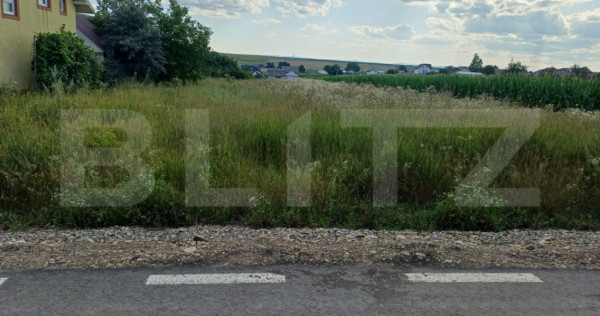 Teren de v&acirc;nzare, intravilan, 32 ari, Moara Nica