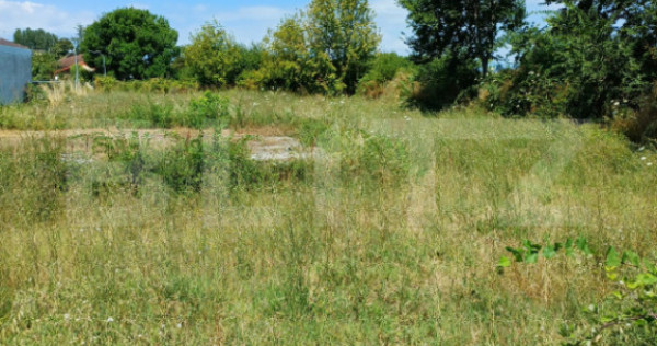 Teren de v&acirc;nzare, intravilan, 32 ari, Moara Nica