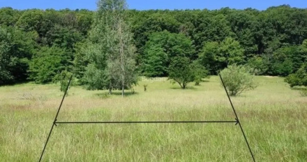 Teren extravilan Pietrosani, Arges, 1357mp
