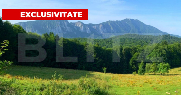 Teren intravilan, Trei Brazi, Predeal